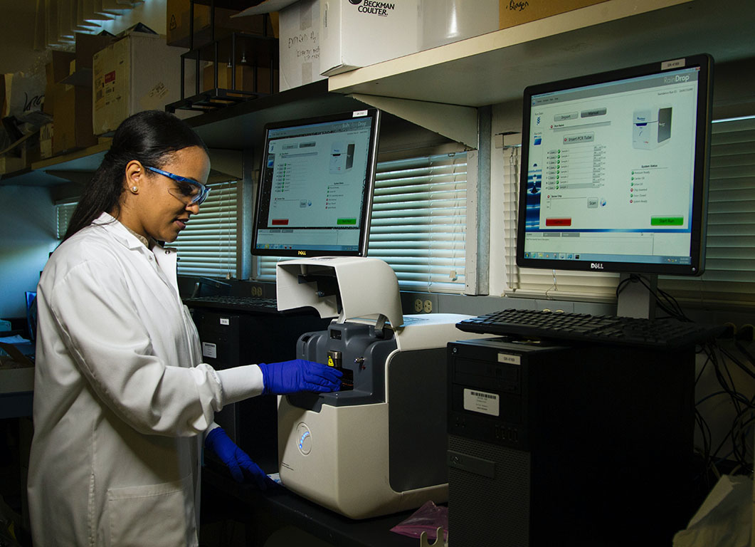 The EU Medical Device Regulation: How to comply as an international manufacturer.