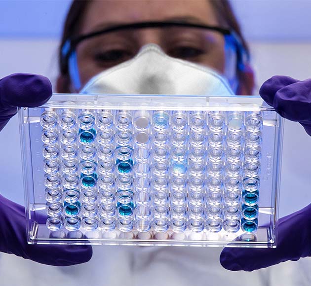 Certified Translator Featured