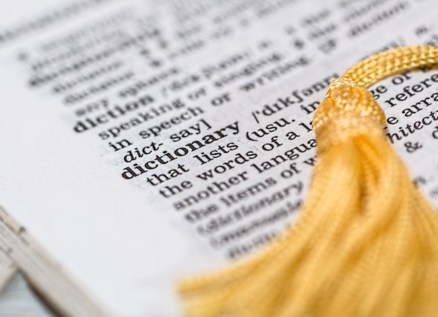 Bridging Language Barriers - How Professional Consulting Interpretation Drives Success