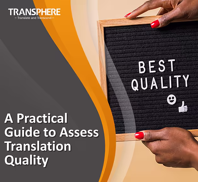 Hero Shot Translation Quality Assessment